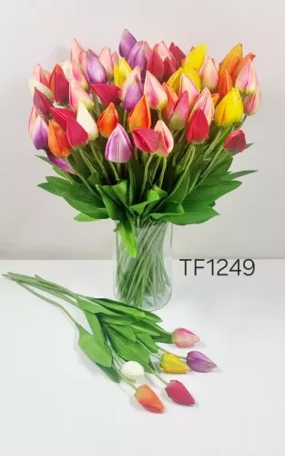 TF1249