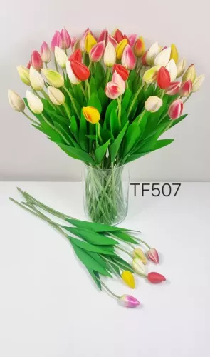 TF507