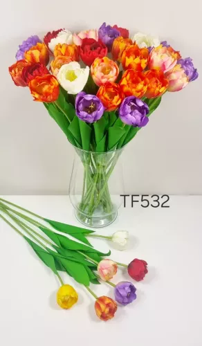 TF532